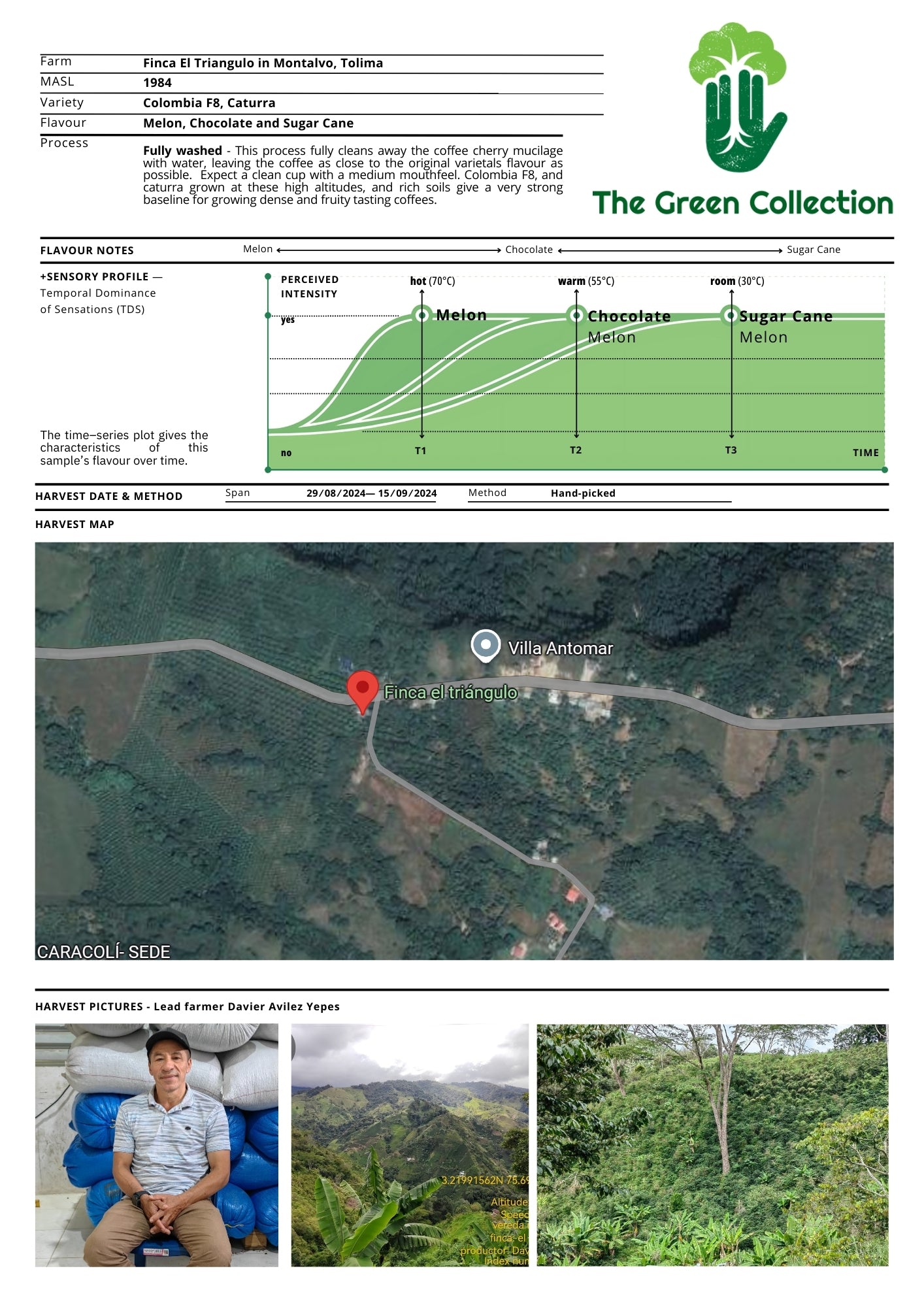 Colombia Finca El Triangulo