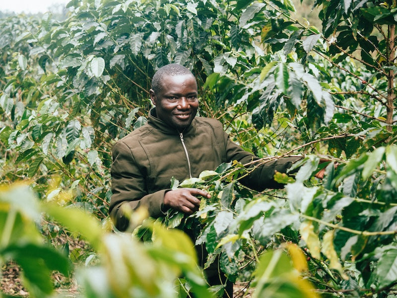 Ugandan Coffee Farmer